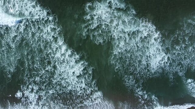OLAS EN MOVIMIENTO