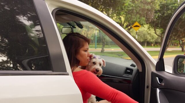 Affectionate woman carrying cute schnauzer out of car