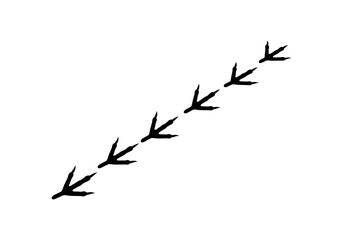 Rustic Axe with Wooden Handle and Sharp Blade on Transparent Background for Forestry Use