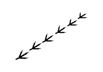 Rustic Axe with Wooden Handle and Sharp Blade on Transparent Background for Forestry Use