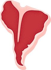 T-bone beef steak in shape of South America map. Vintage print texture. Classic American bbq meat, vector clip art illustration.