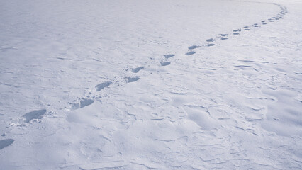 Snow-covered trail for walking. Winter footpath. Snowy steps along snow field. Footprints on snow-covered ground. Winter trail. Footstep in snow outdoors.