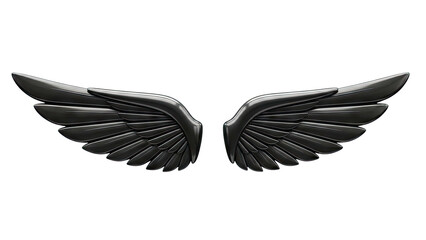 Glossy Black Angel Wings