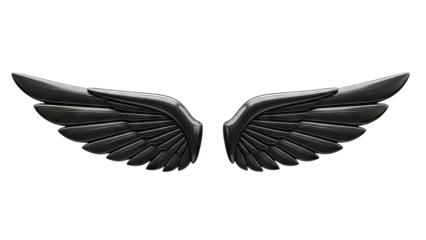 Glossy Black Angel Wings