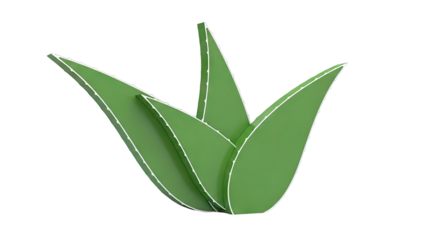 Green Aloe Vera Leaves with White Edging