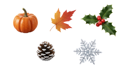Seasonal Autumn and Winter Decorative Elements with Pumpkin Leaf Pine Cone Holly Snowflake.