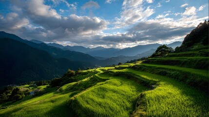 Lush green terraced rice fields cascading down a misty mountain valley under a dramatic sky
