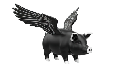 Black Pig with Angel Wings on White Background