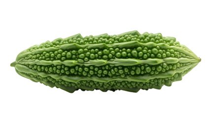 Microscopic view of a green micro organism isolated on transparent background