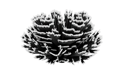 Abstract Black and White Coral-like Form
