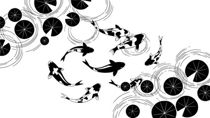 Fototapeta premium Dynamic Koi Fish Swimming Among Water Lilies in Tranquil Pond