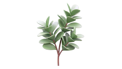 Stylized Green Plant with Thick Leaves