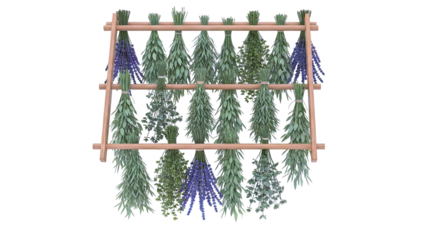 Herbs drying on a wooden rack