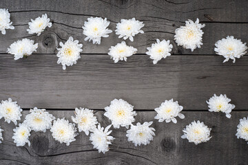 White Flowers on Wooden Surface. Top View Photo. Wallpaper Background Template.