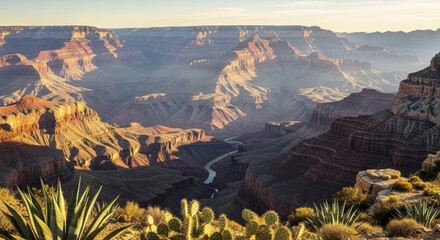 Massive desert gorge exhibits layered geological formations illuminated by warm morning sunlight