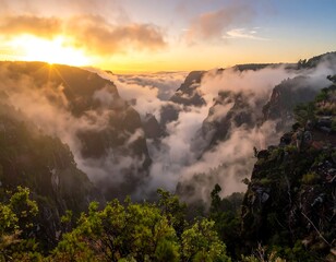 Sunrise illuminates a canyon, shrouded by mist, with green foliage