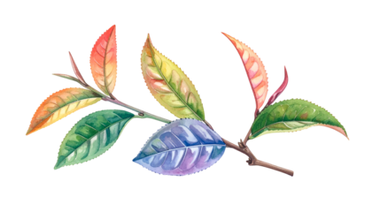 Watercolor illustration of a branch with vibrant leaves in various colorful hues