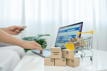 woman using laptop for online shopping at home. Hand holding mobile phone with payment detail page...