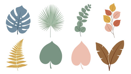 Obraz premium Botanical Collection: Assorted Tropical Leaves in Earthy Tones