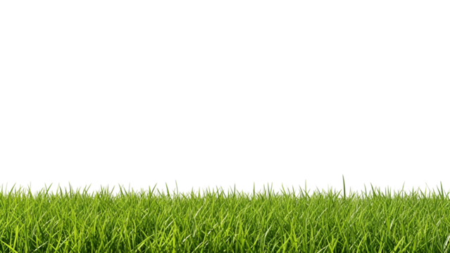 Lush green grass isolated on transparent background - Powered by Adobe