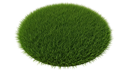 Vibrant green grass circle isolated on transparent background