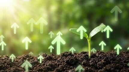 Growing Green Sprout with Upward Arrows in Sunlight, Symbolizing Sustainable Development and Business Progress