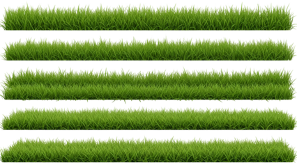 Green grass strips in different lengths isolated on transparent background