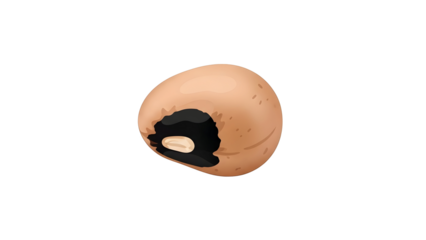 Cartoon Black-Eyed Pea Isolated on Black Background - Healthy Cowpea Seed Icon