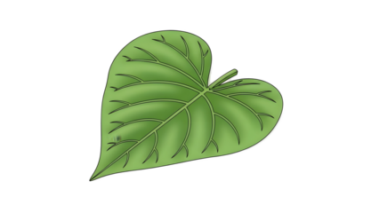 Green Heart-Shaped Leaf Vector Illustration Isolated on Black Background