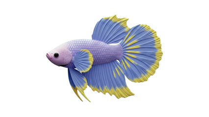 Purple and Yellow Betta Fish Sculpture