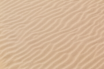 바람에 물결치는 해변의 모래