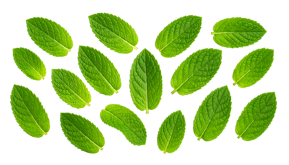 Scattered array of bright green leaves against a stark black background