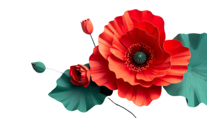 Vivid red poppy and buds with green leaves on black background