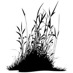 Dense Grass Scrub Vector