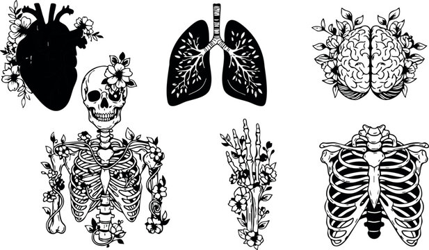 Anatomical black silhouette heart lungs brain skeleton floral elements vector design art