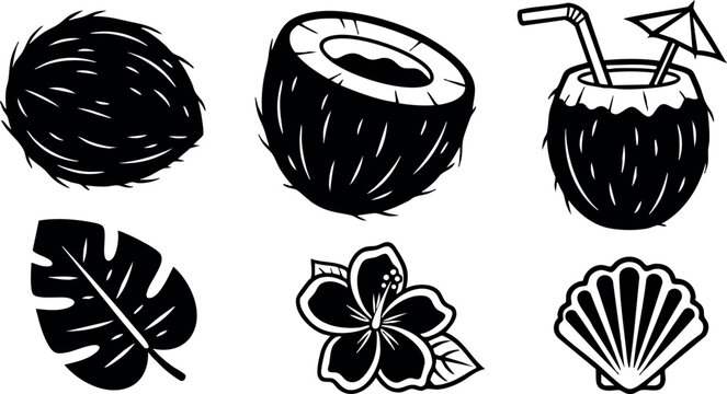 Coconut fruit tropical leaf flower shell black silhouette vector design icons collection illustration