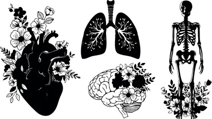 Human anatomy heart lungs brain skeleton with floral decoration detailed vector illustration monochrome design