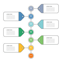 Business process step by step vertical roadmap 6 step process timeline infographic with tags.