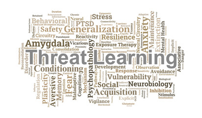 Threat Learning Word Cloud. Key Terms in Fear Conditioning and Neural Circuitry Analysis