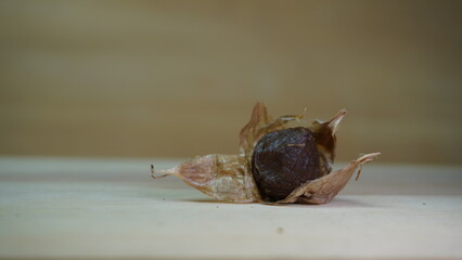 Pile of Single Clove Black Garlic, Allium sativum on Wood Background
