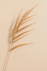 Long, thin stalk of grass with a brown color