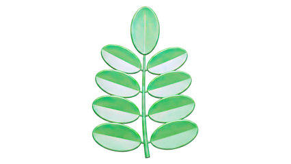 Green branch with oval leaves