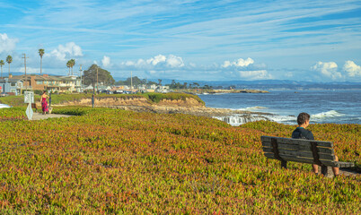 Santa Cruz shoreline and promenade California.