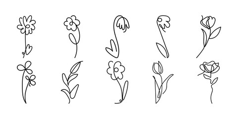 Flat Flower Line Art