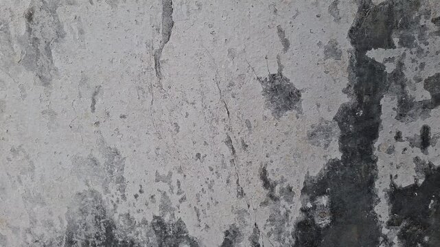 peeling and flaking paint on the wall
