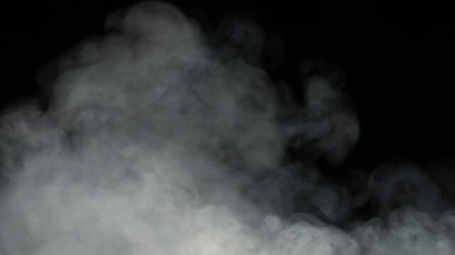 Dark mist fills entire scene, Opaque ground fog engulfs frame with powerful atmospheric density