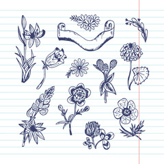 set of hand drawn doodle flowers in ballpoint pen