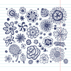collection  of hand drawn doodle flowers in ballpoint pen