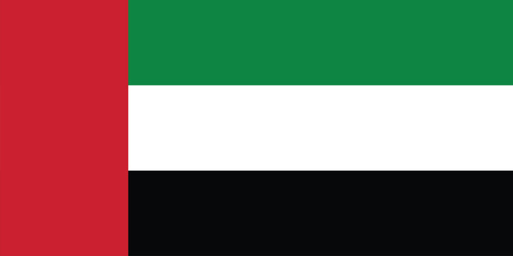 Flag of the united arab emirates