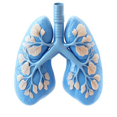 Stylized Lung Illustration On A White Background. Health, Medical Concept.